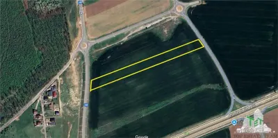Development Land for Sale, Brănești-Ilfov, 5,100 sqm, Residential or Investment - Branesti