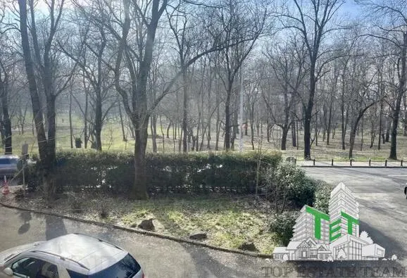 Seven-Bedroom Villa to Let in Floreasca - foto 1