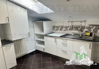 Seven-Bedroom Villa to Let in Floreasca - foto 4