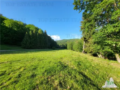 Terrain Résidentiel 12 000 m², Cascada Urlatoarea, Projet de Resort Approuvé - foto 15