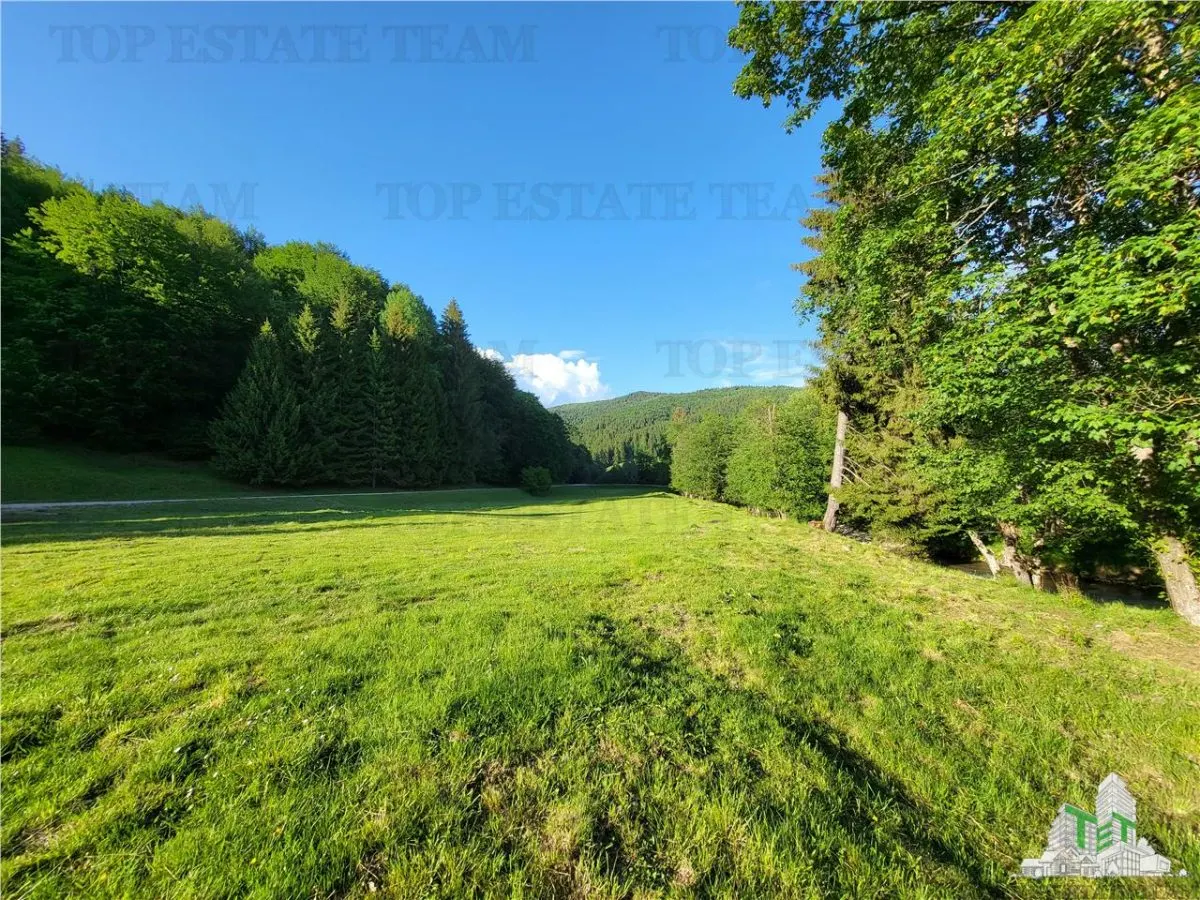 Terrain Résidentiel 12 000 m², Cascada Urlatoarea, Projet de Resort Approuvé - foto 15