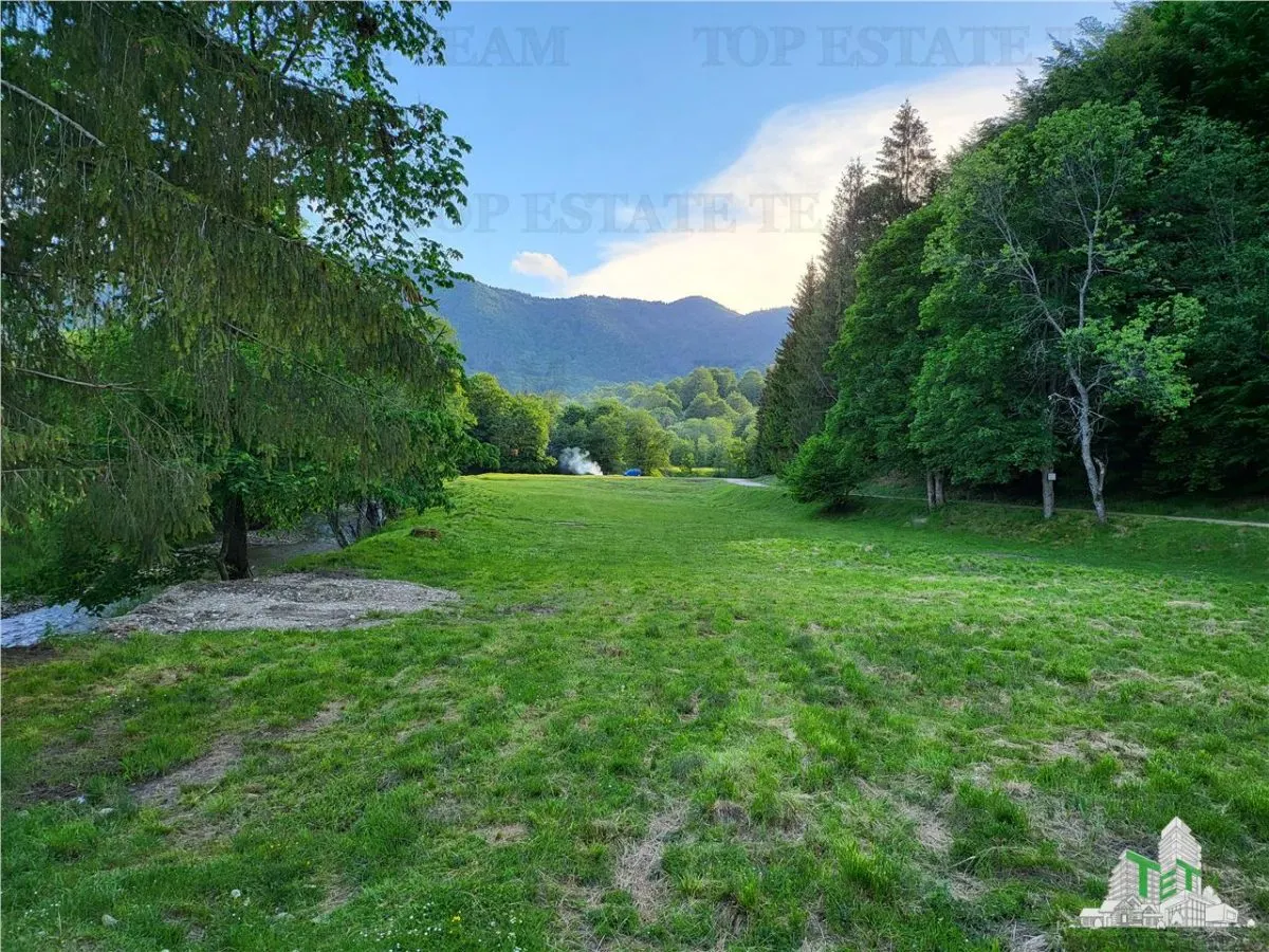 Terrain Résidentiel 12 000 m², Cascada Urlatoarea, Projet de Resort Approuvé - foto 5