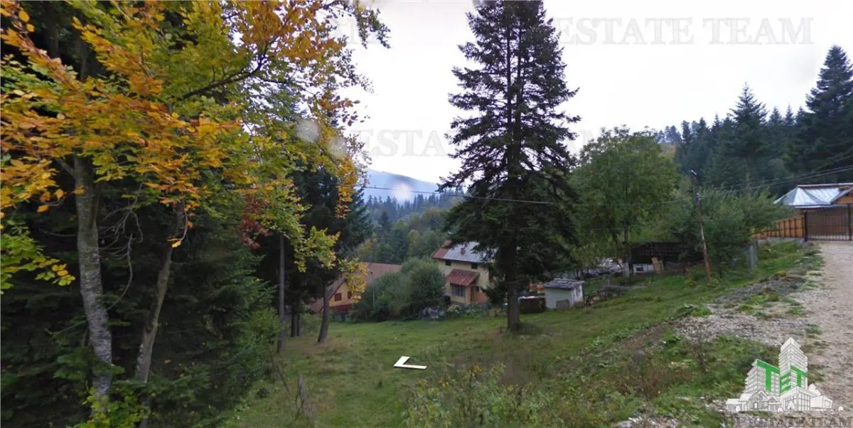 Parcela Premium Sinaia, Zona Exclusiva Furnica - foto 1