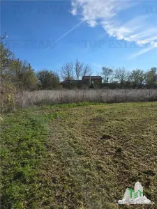 Development Land 3,751 sqm with Utilities, Daia, Giurgiu County - foto 2