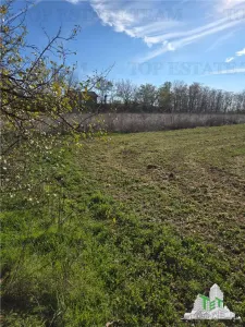 Development Land 3,751 sqm with Utilities, Daia, Giurgiu County - foto 3
