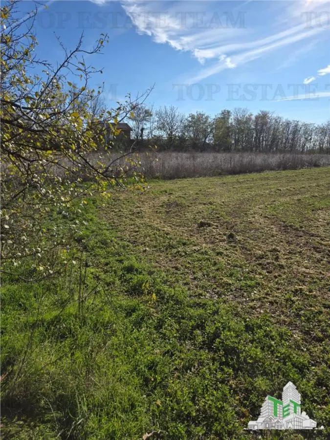 Development Land 3,751 sqm with Utilities, Daia, Giurgiu County - foto 3