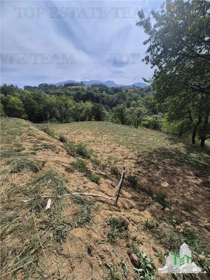 4,000 sqm Development Land for Tourism Investment near Club Vila Bran - foto 3