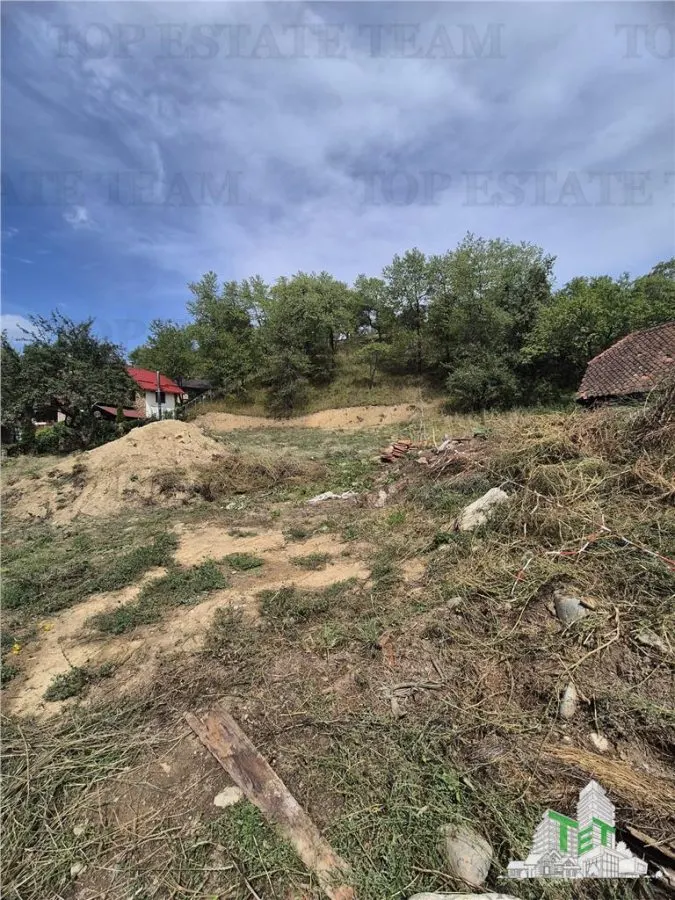 4,000 sqm Development Land for Tourism Investment near Club Vila Bran - foto 5