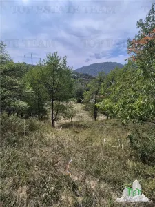 4,000 sqm Development Land for Tourism Investment near Club Vila Bran - foto 6