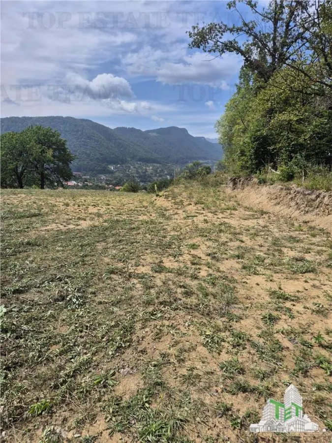 4,000 sqm Development Land for Tourism Investment near Club Vila Bran - foto 7