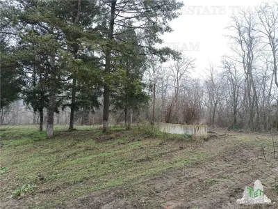 Outstanding Investment Opportunity: Historic Interwar Estate with Villa - foto 22