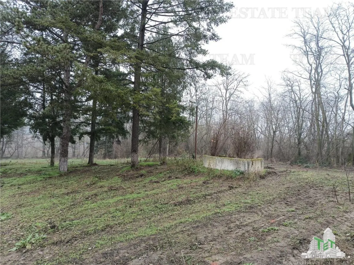 Outstanding Investment Opportunity: Historic Interwar Estate with Villa - foto 22