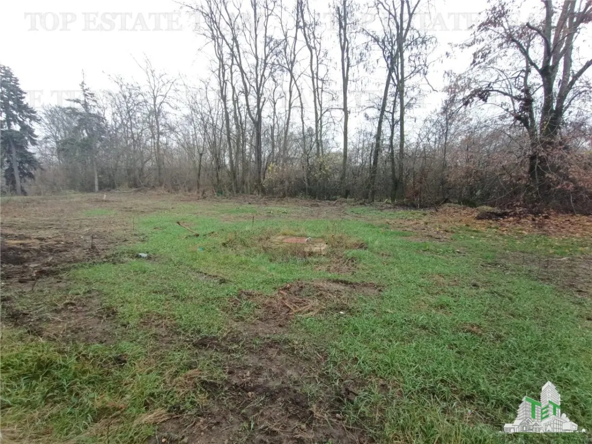 Outstanding Investment Opportunity: Historic Interwar Estate with Villa - foto 23