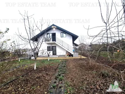 Villa for Sale in Moara Vlasiei with Mature Orchard and Spacious Grounds - foto 2