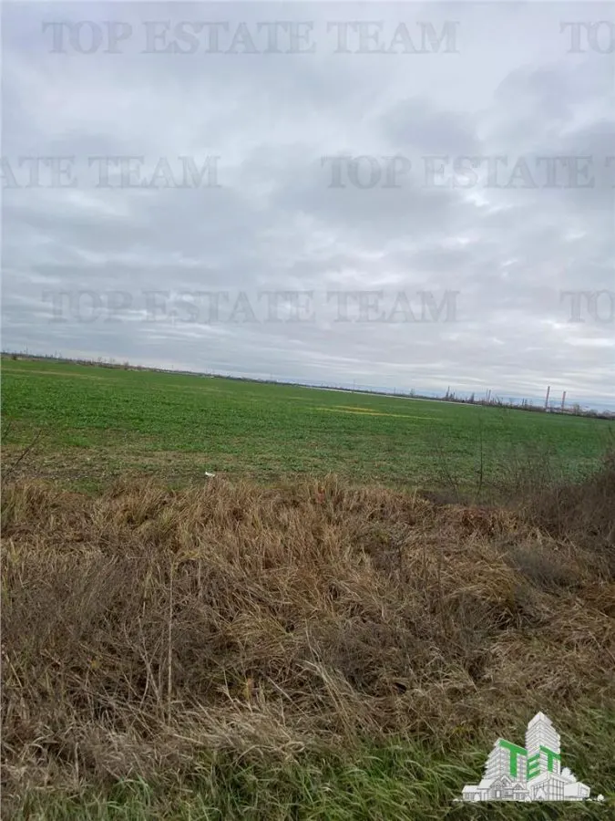 Agricultural Land 60 HA, Berceni-Prahova, Major Investment Opportunity - foto 1