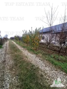 Development Land Moara Vlasiei 963 sqm, Prime Location - foto 4