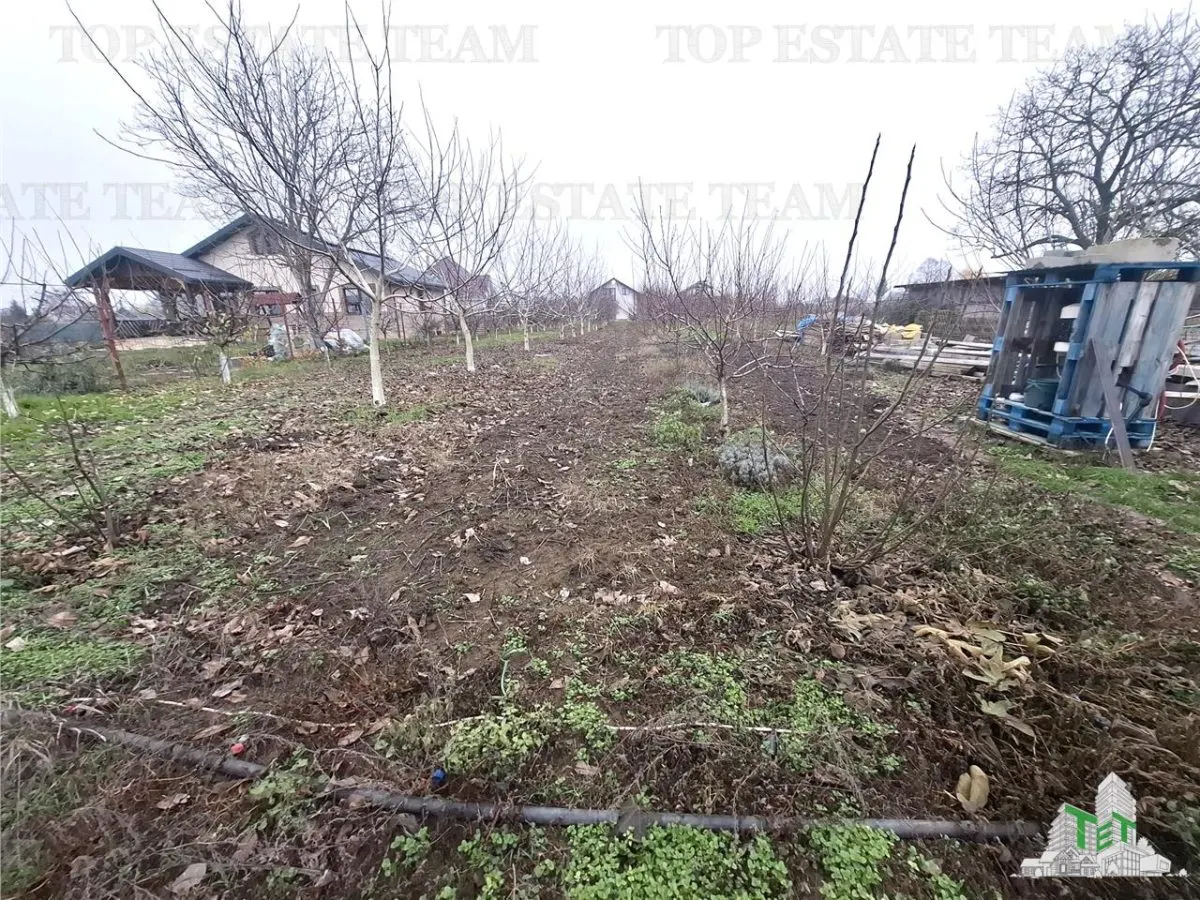 Development Land Moara Vlasiei 963 sqm, Prime Location - foto 5