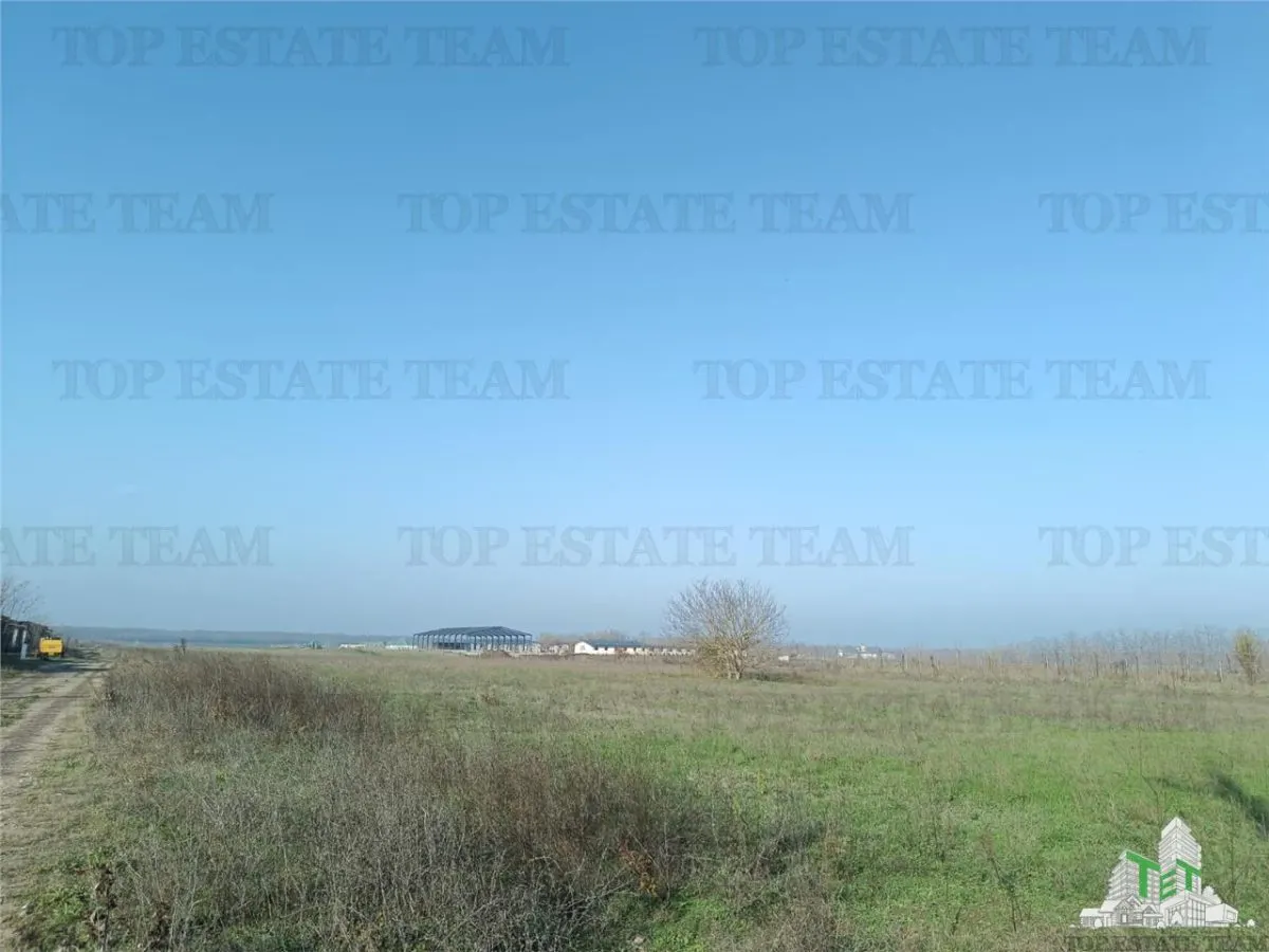 Terrain Constructible DJ 101, Gruiu – Régime de Hauteur S+P+2E - foto 8