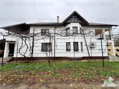 Villa for Sale in Branistea, 2,665 sqm Plot - Branistea