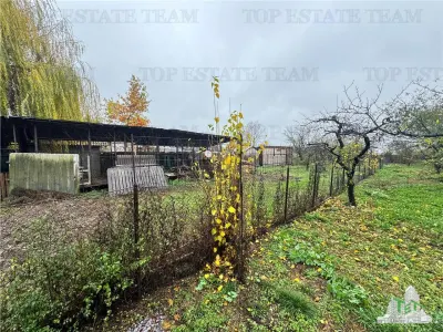 Villa for Sale in Branistea, 2,665 sqm Plot - foto 19