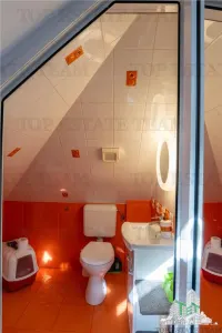 Villa Vatra Luminoasa, Bucarest - foto 17