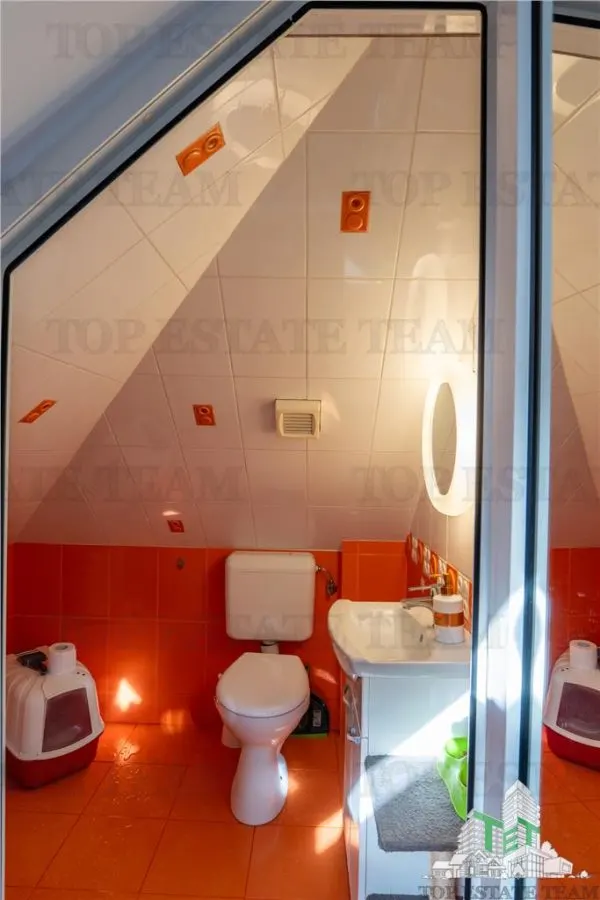 Villa Vatra Luminoasa, Bucarest - foto 17