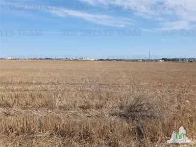 Agricultural Land, Techirghiol - foto 4