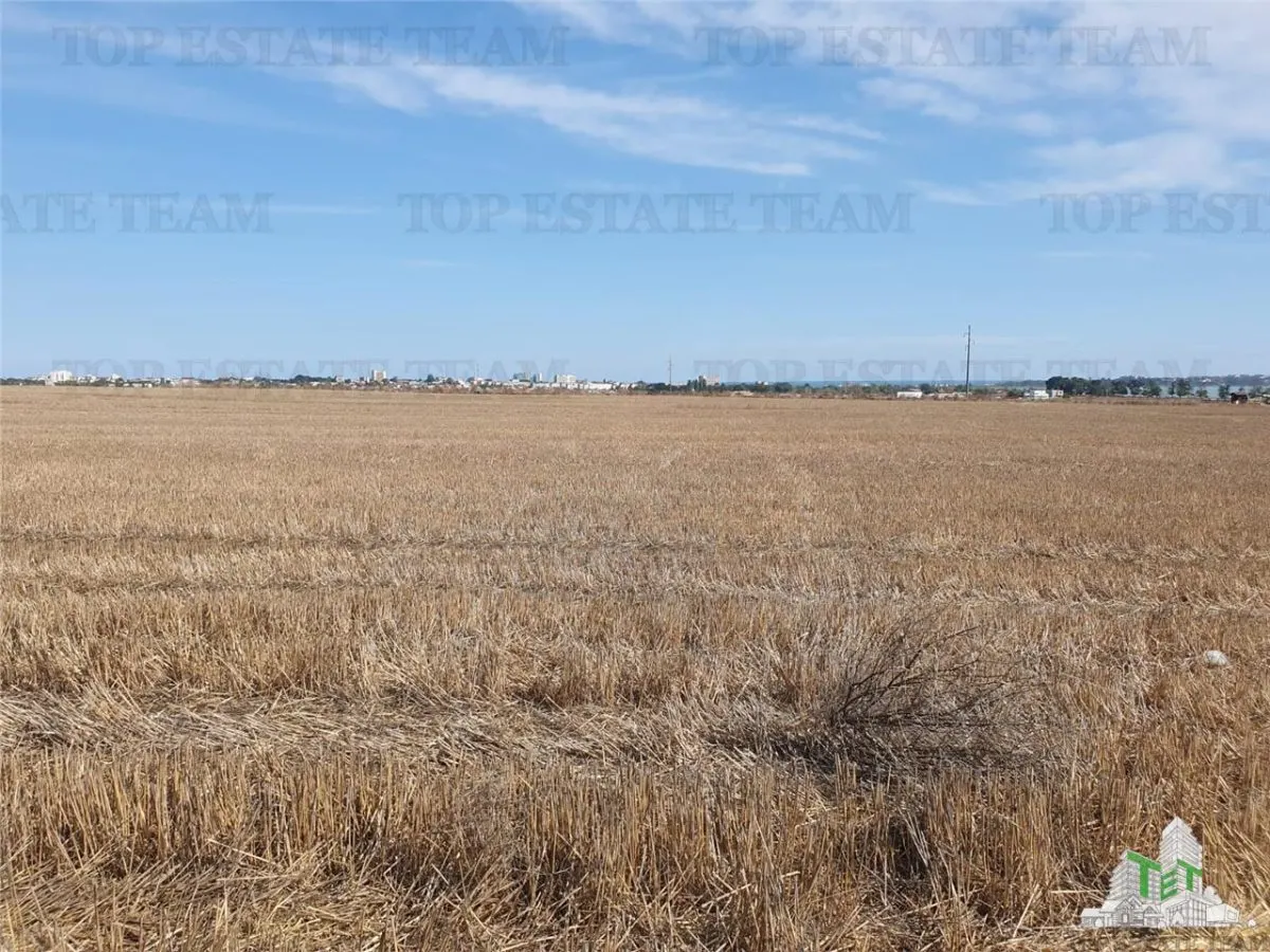Agricultural Land, Techirghiol - foto 4