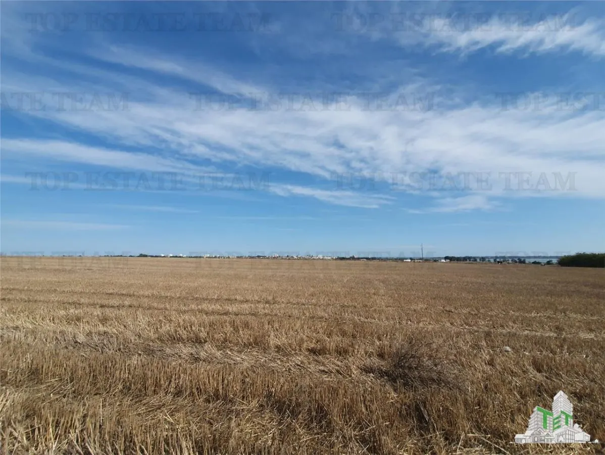 Agricultural Land, Techirghiol - foto 6