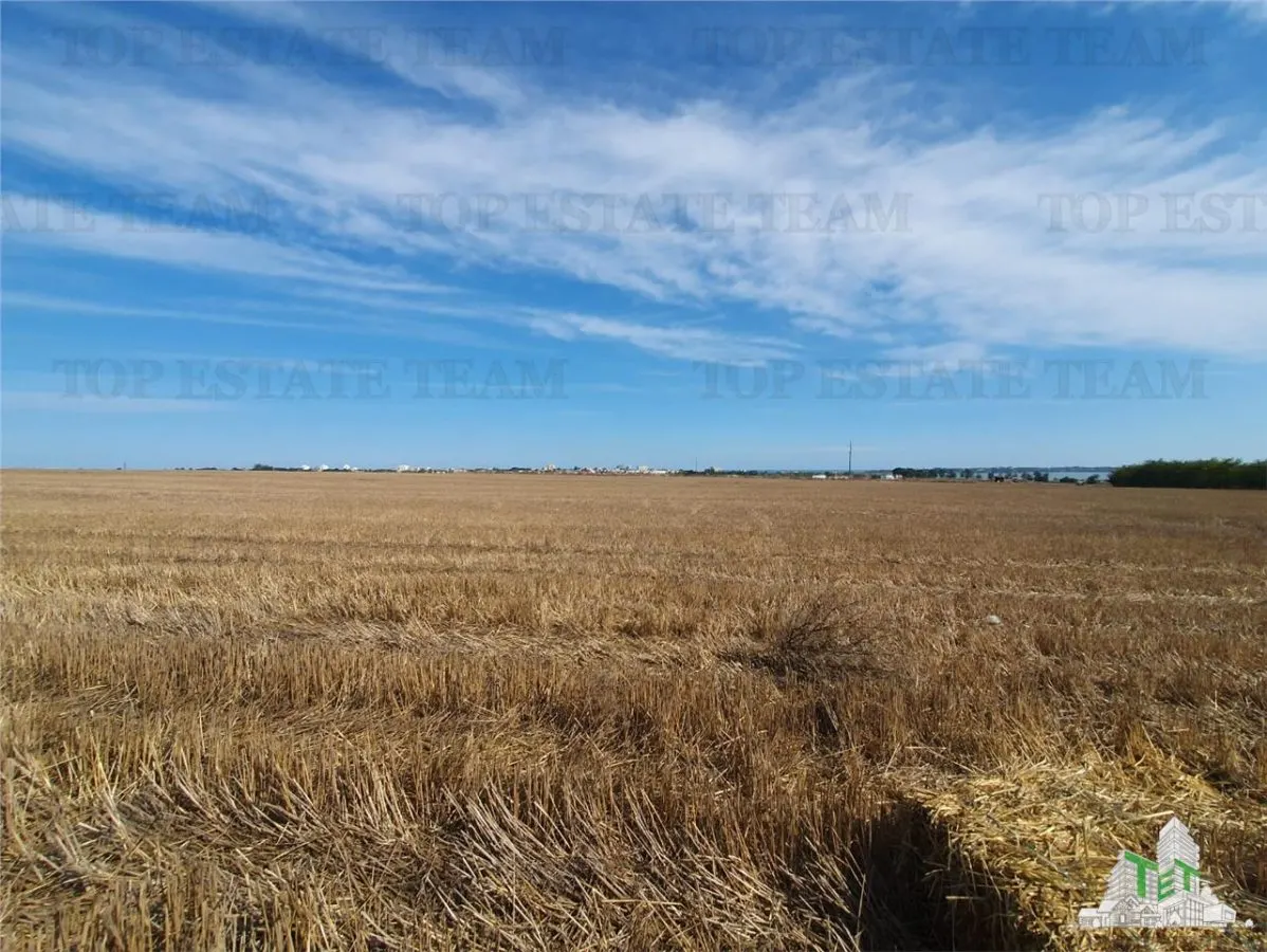 Agricultural Land, Techirghiol - foto 8