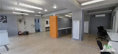 4-Room Office/Apartment with Garden, Cismigiu District - foto 3