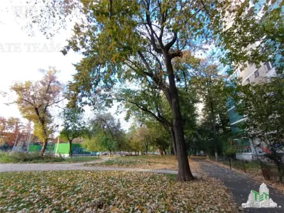 Studio Cosy Rénové en 2024, Près du Parc Dr. Taberei et Place Moghioros - foto 2