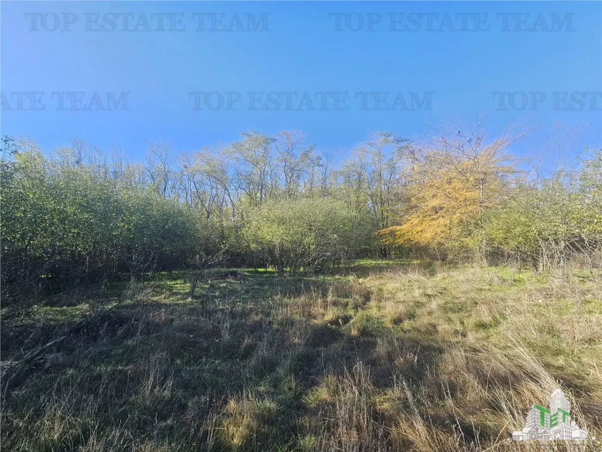 Exceptional Value: 1-Hectare Development Land, Ciorogarla–Domnesti - foto 1