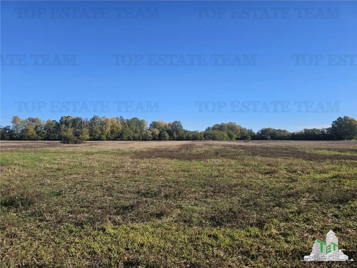 Exceptional Value: 1-Hectare Development Land, Ciorogarla–Domnesti - foto 2