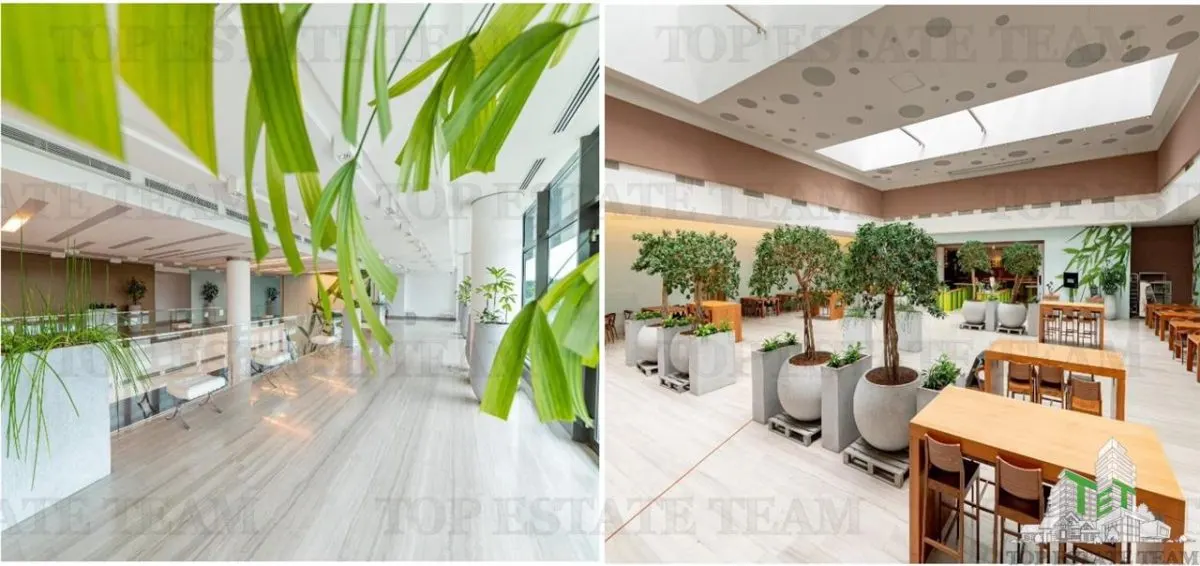 589 sqm Ground Floor Office Space in Baneasa - foto 6