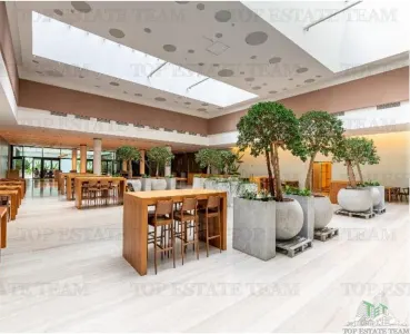 Espacio de Oficinas 494 m² en Baneasa - foto 3