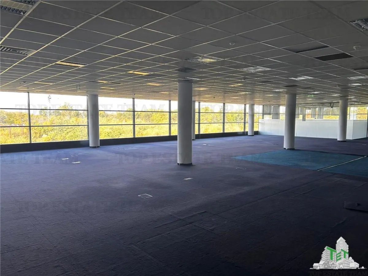 Bureau de 480 m² à Baneasa - foto 8