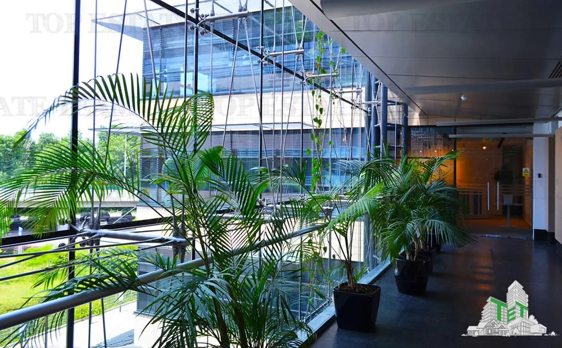 Espace de Bureau de 543 m² à Baneasa - foto 6