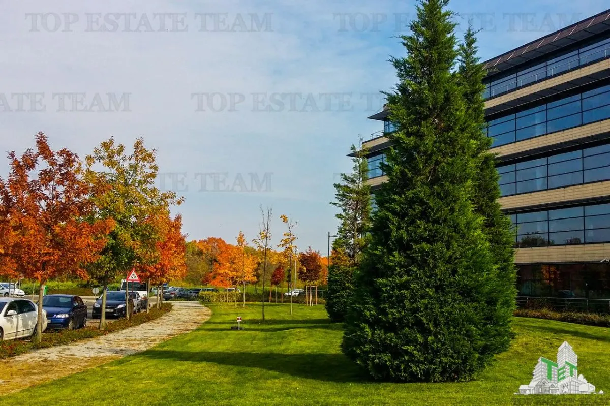 Espace de Bureau de 543 m² à Baneasa - foto 10