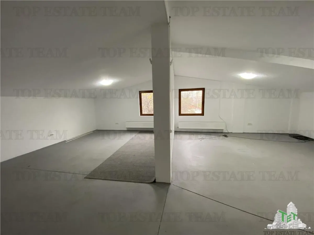 Commercial Space, Offices and Storage for Rent in Doamna Ghica - foto 11