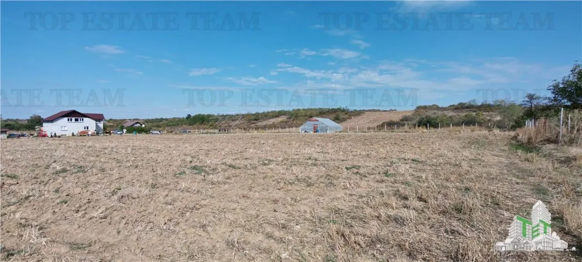 3.3ha Farm Estate with 7-Bedroom Villa, Workers' House & Livestock Facilities, Podisor/Giurgiu - foto 6
