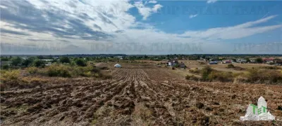 3.3ha Farm Estate with 7-Bedroom Villa, Workers' House & Livestock Facilities, Podisor/Giurgiu - foto 7