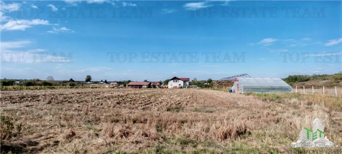 3.3ha Farm Estate with 7-Bedroom Villa, Workers' House & Livestock Facilities, Podisor/Giurgiu - foto 9