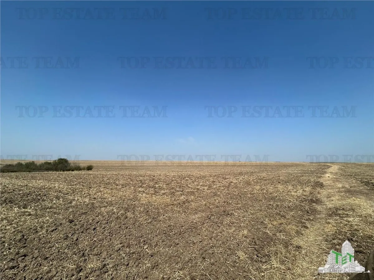 Simnicu de Sus près de Craiova / Terrain cultivable / 4 200 m² - foto 1