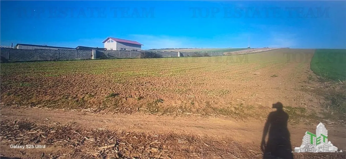 Simnicu de Sus près de Craiova – Terrain cultivable de 5.000 m² - foto 1