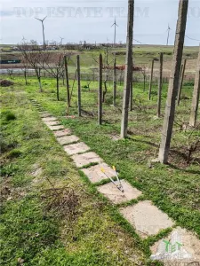 Two Renovated Houses with Bathrooms, Orchard and Vineyard – Pantelimon, Constanța - foto 5
