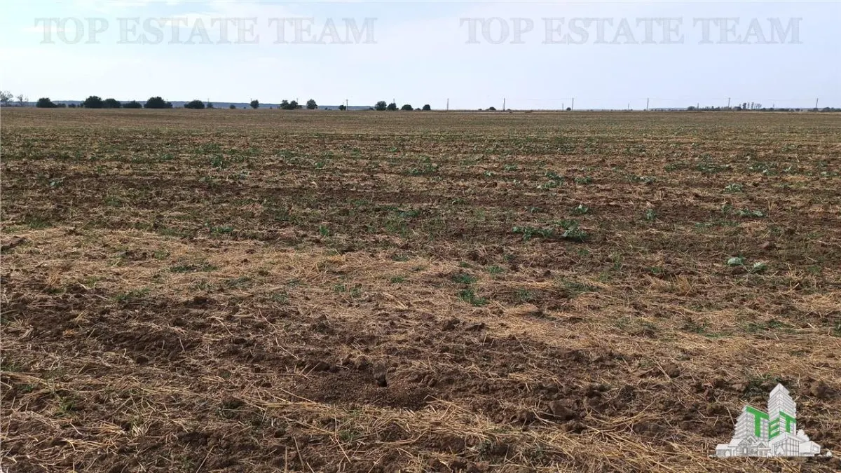 Six Parcelles Agricoles, Petrachioaia, Ilfov – 1,9€/m² - foto 13