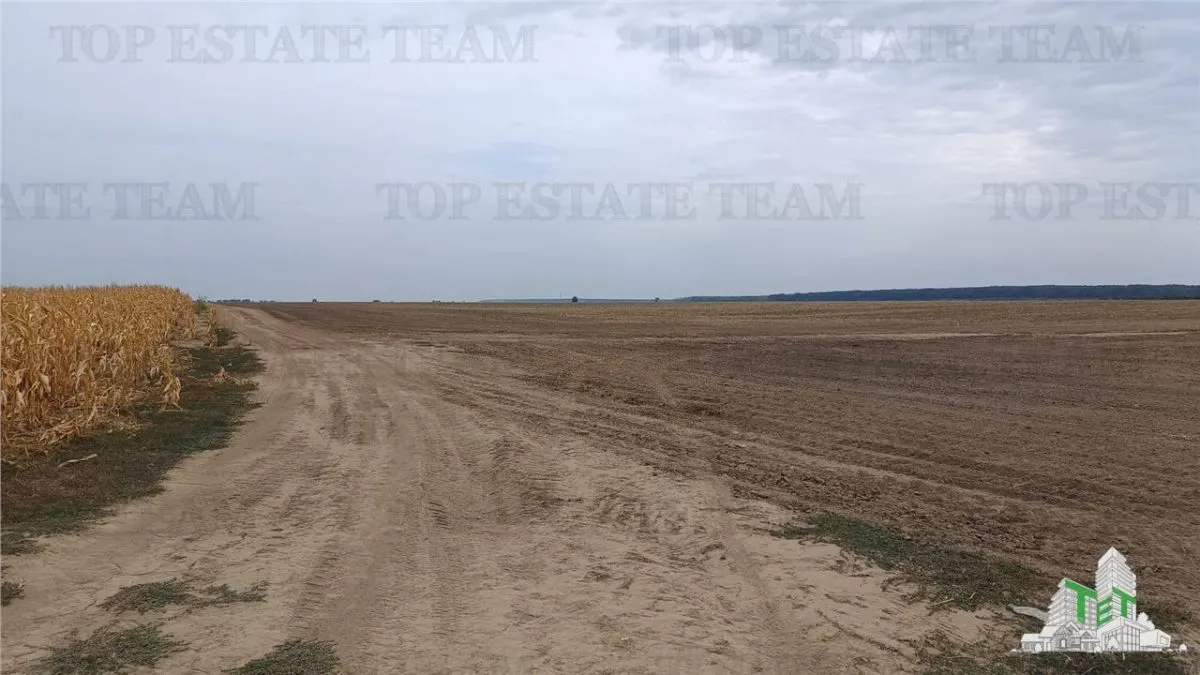 Six Parcelles Agricoles, Petrachioaia, Ilfov – 1,9€/m² - foto 3