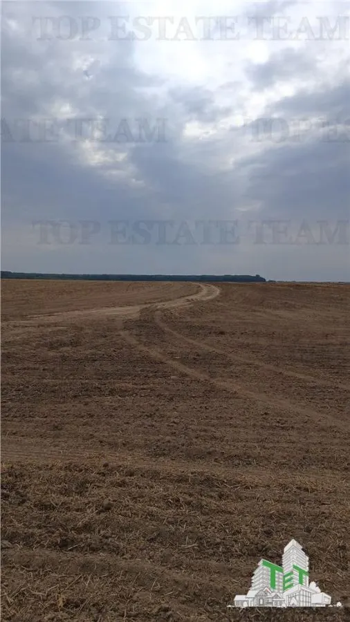 Six Parcelles Agricoles, Petrachioaia, Ilfov – 1,9€/m² - foto 4