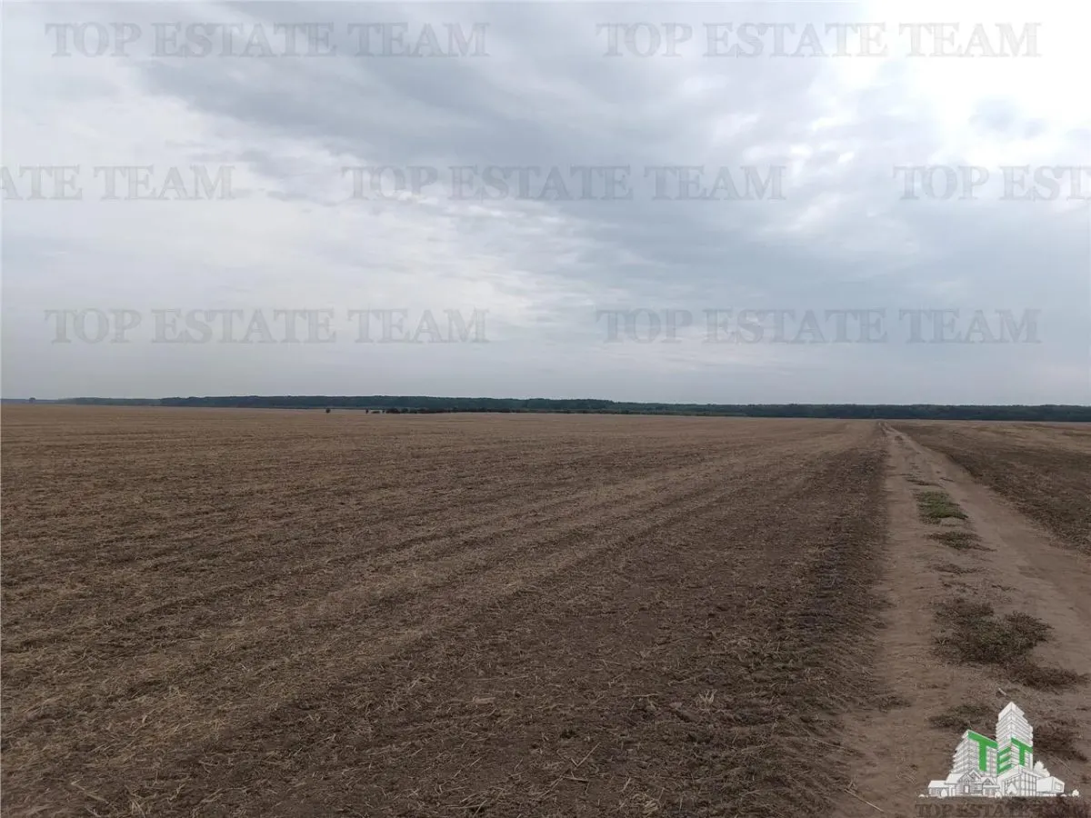 Six Parcelles Agricoles, Petrachioaia, Ilfov – 1,9€/m² - foto 5